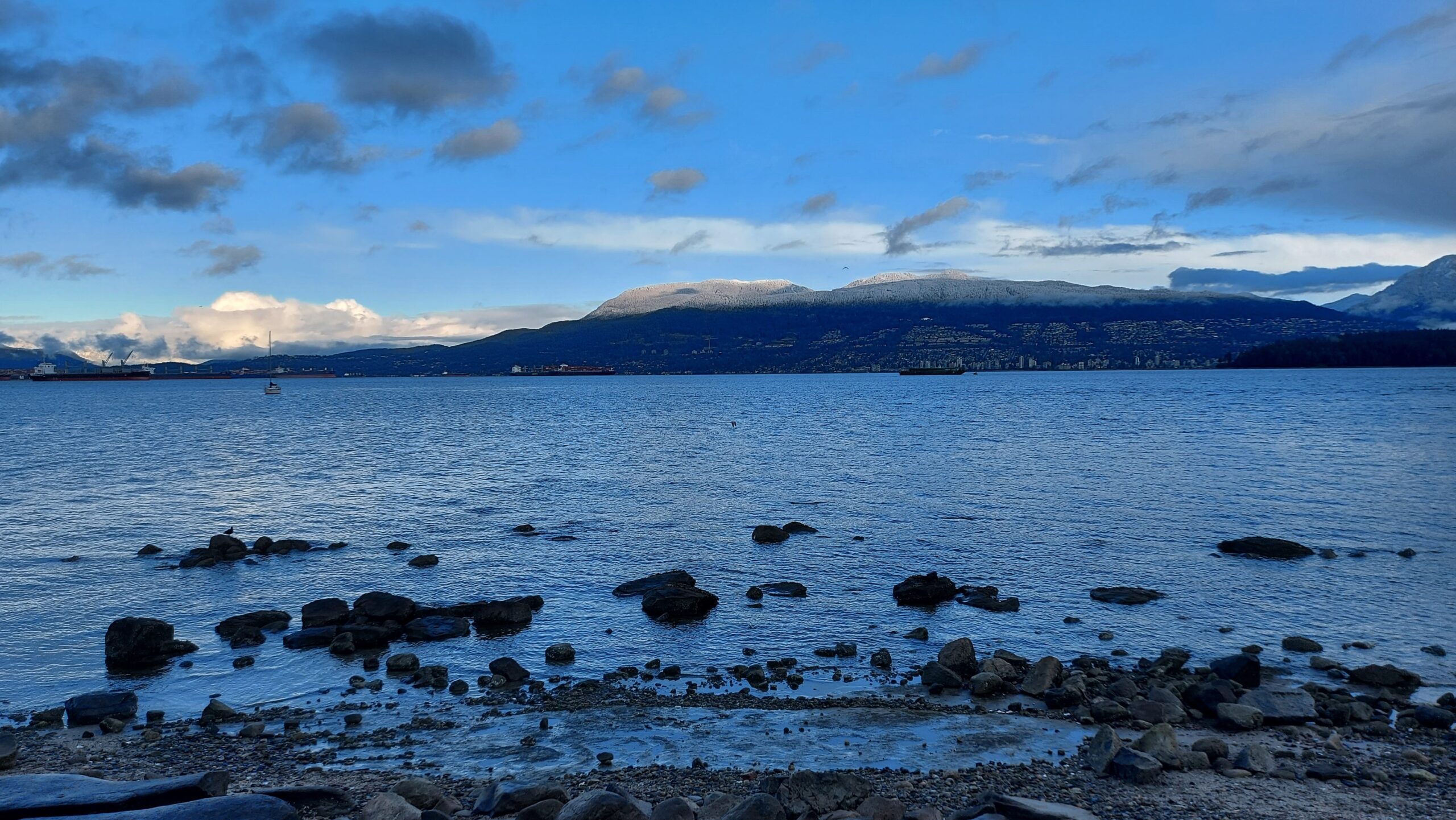 stock-shore